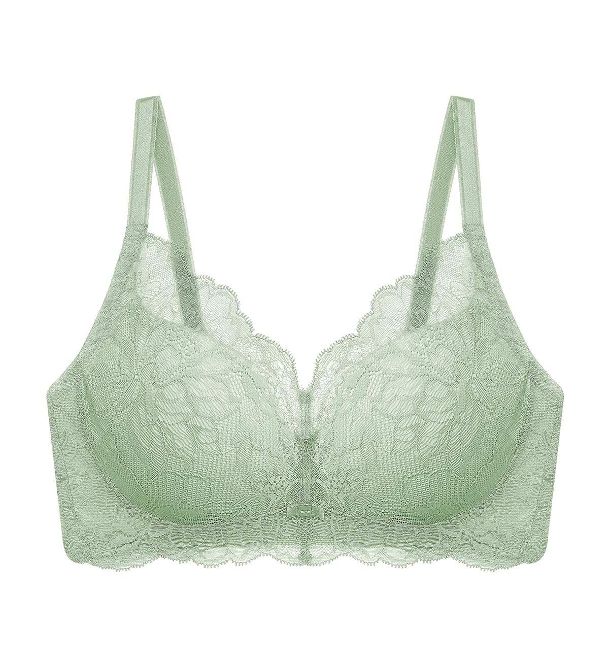 Natural Elegance Sleek Non-Wired Padded Bra in Abstinthe